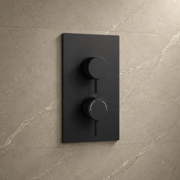 Concealed vs Exposed Showers: What's the Difference?