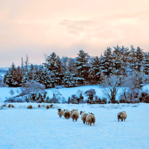 Tips to Keep Your Home Warm This Winter