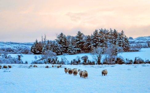 Tips to Keep Your Home Warm This Winter