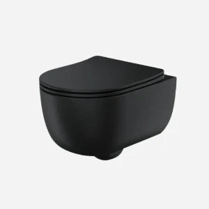 Rimless Toilets