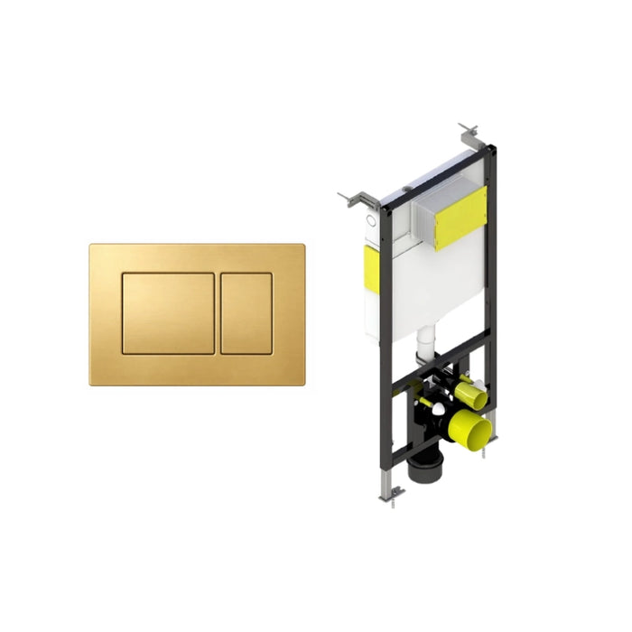 Wall Hung Toilet Frame & Dual Flush Plate
