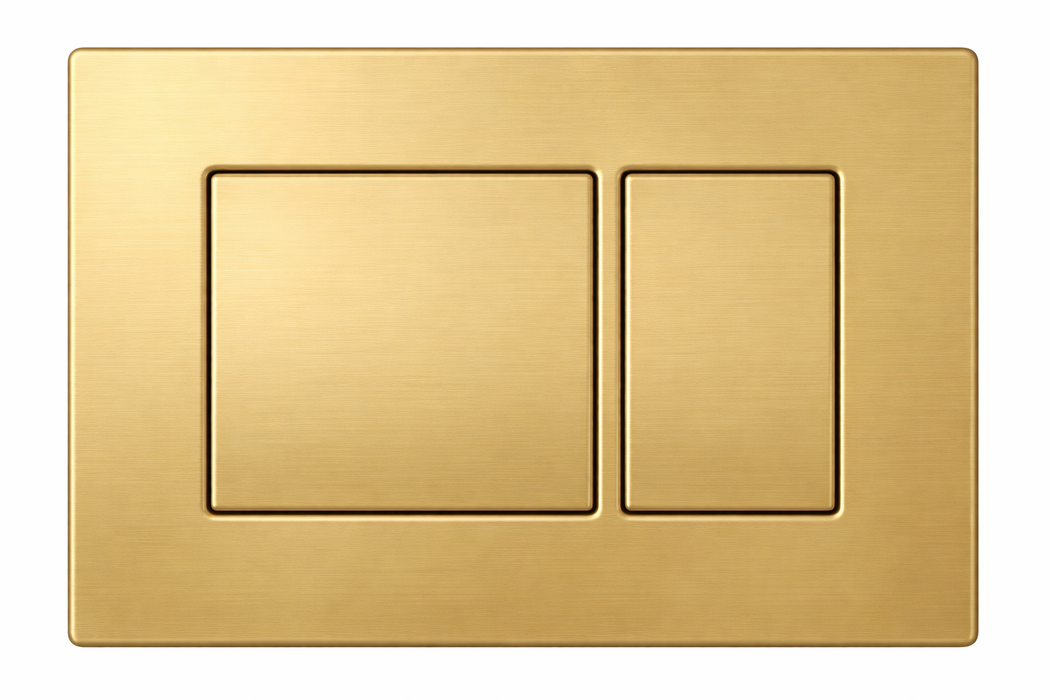 Rimless Wall Hung Toilet, Frame & Button Pack