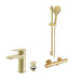 Brushed brass shower kit and basin tap set with matching fixtures and hose