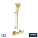 Brushed brass T-bar shower kit with handheld head and matching basin tap
