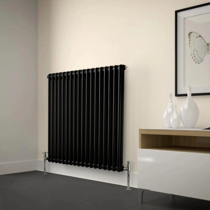 2 Column Horizontal Designer Radiaor 600 x 1010mm - Black