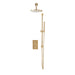 Concealed Brushed Brass Shower Valve with Rail, Hose & Head - Bathroom Warehouse