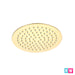 brushed brass shwoer head