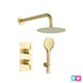 Brushed brass shower set with overhead head, handset, arm, and wall control plate