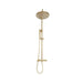 T - Bar Shower & Rail with 200mm Round Brushed Brass Drench Shower - Bathroom Warehouse